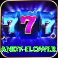 andy flower Deluxe Pro v2.4.6