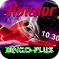 bingo Deluxe Pro v1.4.9