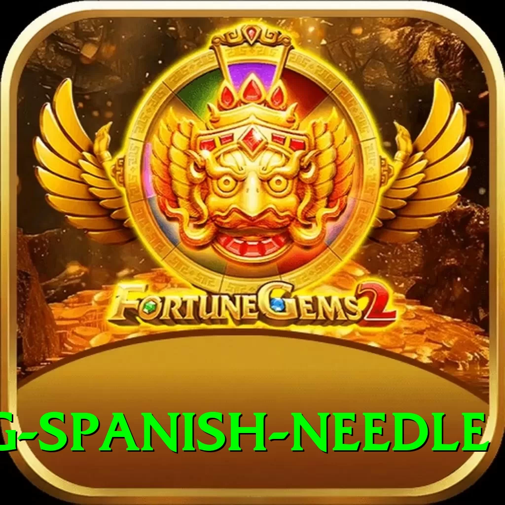 canyoning spanish needle Premium Edition v4.0.5 - 2