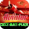 cricket bat - Legend v5.5.4