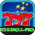 cricket match schedule Ultimate PK v2.9.7