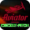 cricket pitch Pro Edition v5.2.7