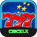 crickex Gold Pro vv3.3.3