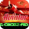 eng cricket Casino Prime v1.8.6
