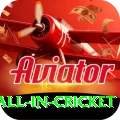fastest ball in cricket Apps (Tools & Injectors) VIP v4.7.0