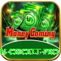 fastest ball in cricket Earn Gold v3.8.2