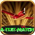 india test match Elite Pro v4.2.1