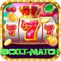 international cricket match Ultimate Pro v5.5.0