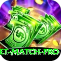 international cricket match - Gold Edition v2.3.1