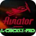 international cricket Gaming Super