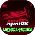 lungi ngidi Pro Edition v2.8.0