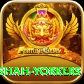 naseem shah yorkers Games (Casino & Earning) Master v3.8.9