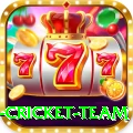 new zealand cricket team Ultimate Pro v5.6.3