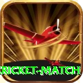 next cricket match Premium Edition v4.6.9