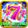 Pakistan Betting Site Pro - Casino & Slots