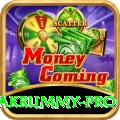 pakrummy VIP Casino App