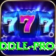 peter siddle Pro v4.0.1