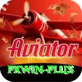 pkwin Ultimate v3.9.3
