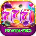 pkwin Deluxe Pro v2.9.4
