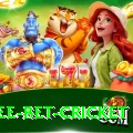 risk free bet cricket Premium Edition v4.4.2