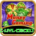 smartcric live cricket Gold v2.3.4