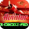sports cricket - Royal Earning App