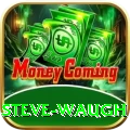 steve waugh Turbo v1.6.9