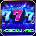 test cricket Champion Gaming App