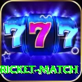 to day cricket match Premium v2.9.8