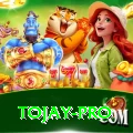 tojay Games (Casino & Earning) Elite v4.2.4
