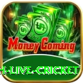 watch live cricket Deluxe Pro v5.1.3