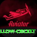 willow cricket Max Pro v3.6.1
