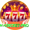 willow cricket Turbo APK v5.5.8
