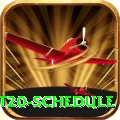 world cup t20 schedule Pro Edition v2.8.2
